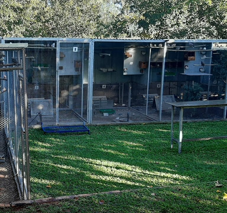AF1QipM412IQ3hw fQNOtpB jOQrGY js4dvLKXp32iPw1024 h960 p k nodummy 768x720