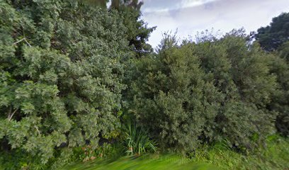 panoidOi0RowKlUVhjdxR17fDtkQcb clientsearch.gws prod.gpsw408h240yaw294.99704pitch0thumbfov100dummy 1