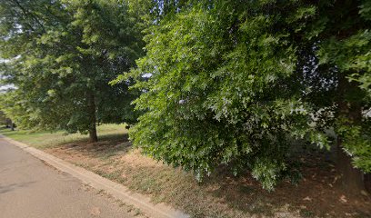 panoidrtJt6KvX y7mjewcJfhJUQcb clientsearch.gws prod.gpsw408h240yaw31.466818pitch0thumbfov100dummy 1