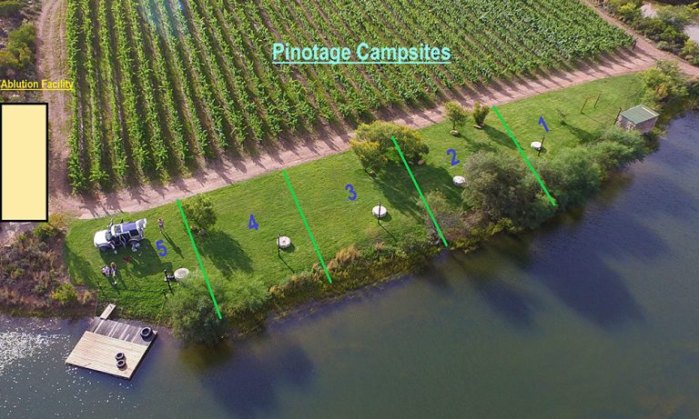 Campsite Layout