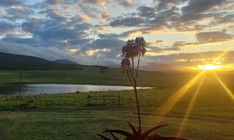 sonsondergang1 1 768x462