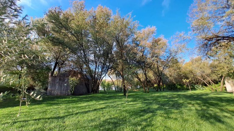 Wilger Rus Orania River Camp